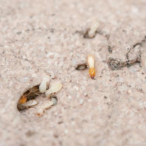 夏季清凉大作战：任县空调维修一招制胜 家庭维修