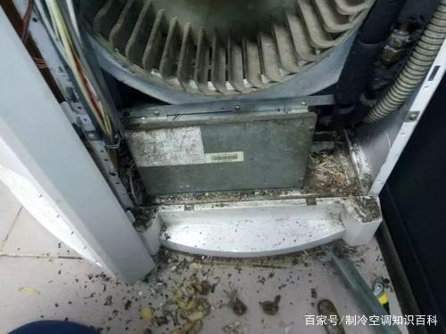 空调故障不用愁，老鼠专业维修帮您解决难题！ 家庭维修