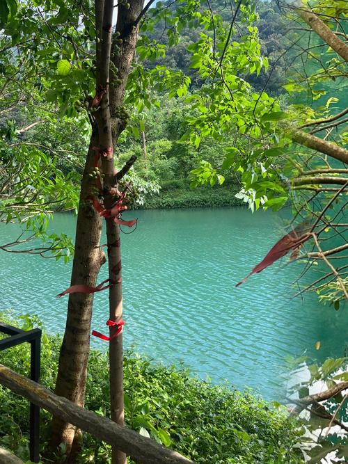 肇庆空调维修：清凉一夏，守护家的“清凉伞” 家庭维修