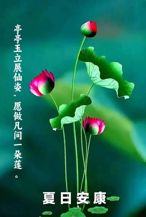 利龙空调，匠心独运，为您守护夏日清凉 家庭维修