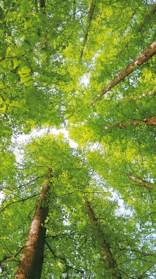 徐山空调维修：专业、高效、绿色的守护者 家庭维修