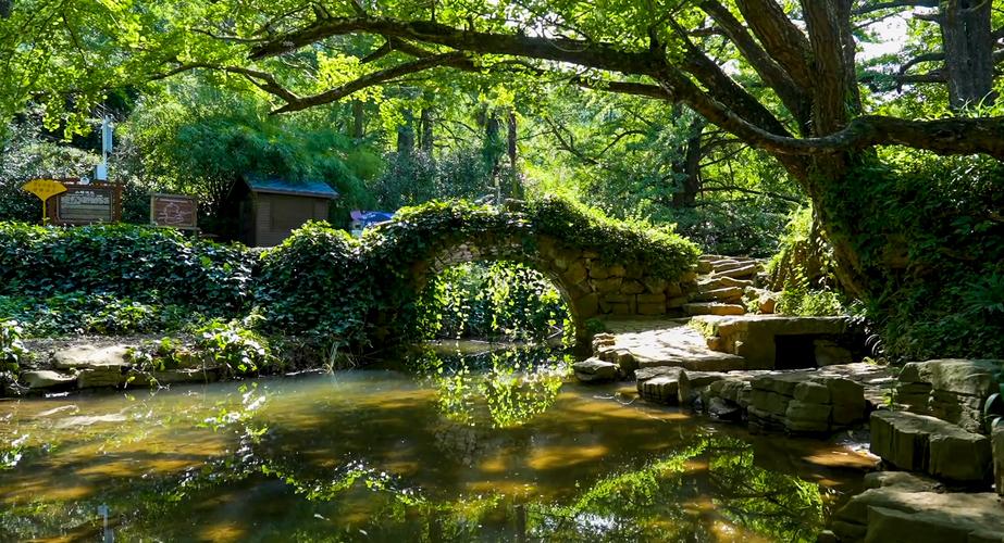 桐村镇：绿色未来，凉爽一夏_空调维修服务生活新篇章 家庭维修