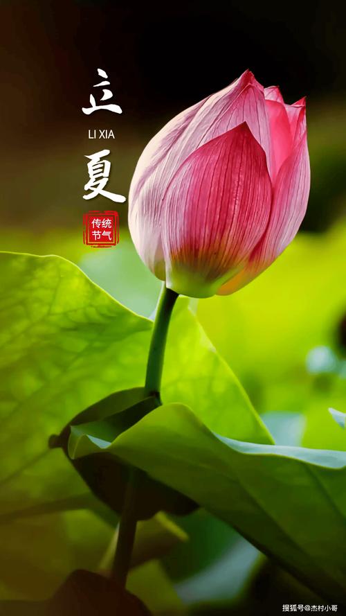 立夏时节，空调维修保养攻略 家庭维修