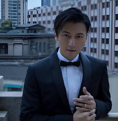 谢霆锋：匠心独运，科技与艺术的完美融合 家庭维修