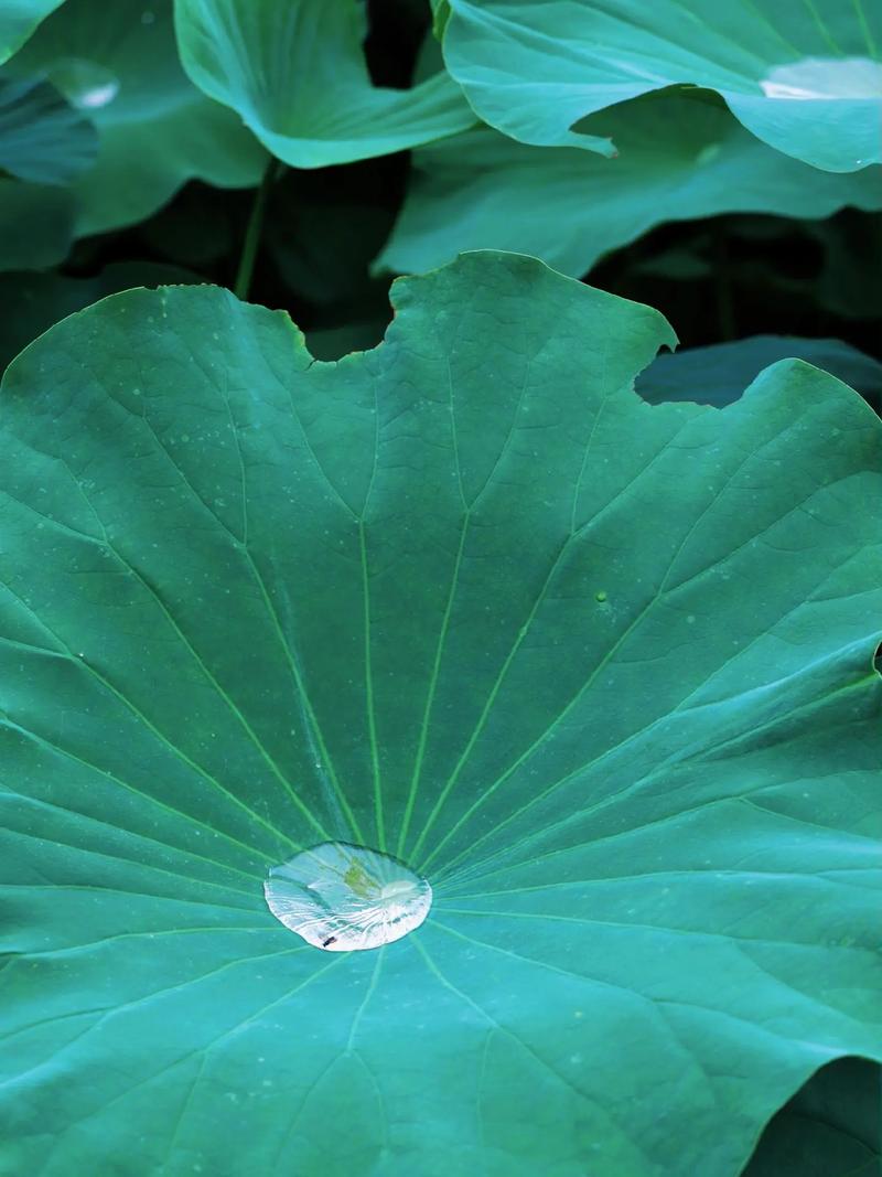 遵义空调维修价格介绍：维护家居清凉，守护绿色生活 家庭维修