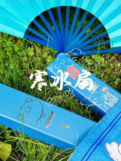 雷建华空调维修：专业服务，清凉一夏的守护者 家庭维修