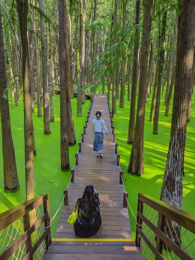 青山湖畔，空调维修的绿色守护者 家庭维修