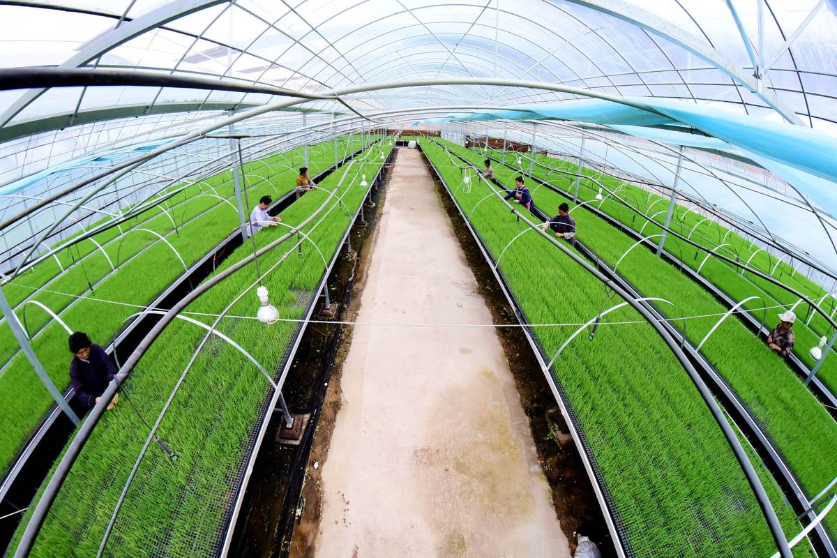 东丰县：空调维修的绿色守护者 家庭维修