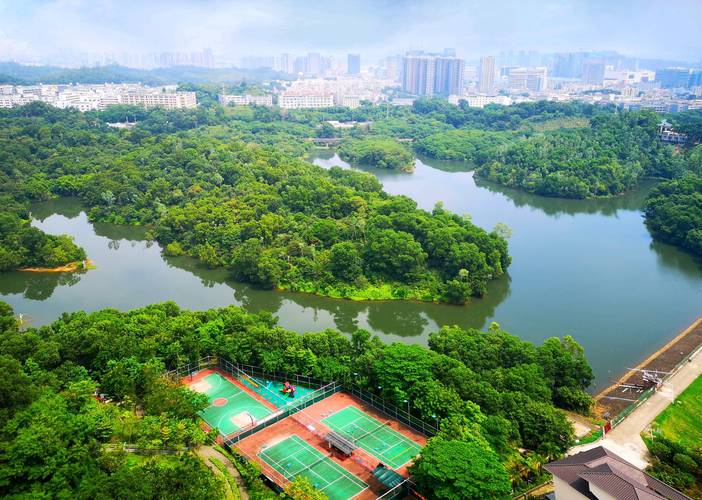 凤山县空调维修：技术创新与服务升级，打造绿色宜居新篇章 家庭维修