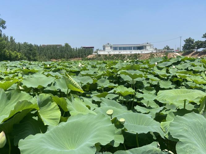 四所楼空调维修：升级舒适体验，守护绿色校园 家庭维修