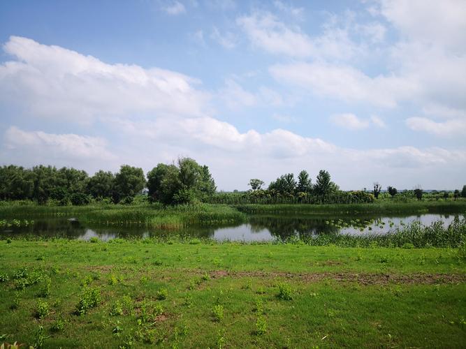 大纵湖畔，清凉一夏：绿色维修，守护生态之美 家庭维修