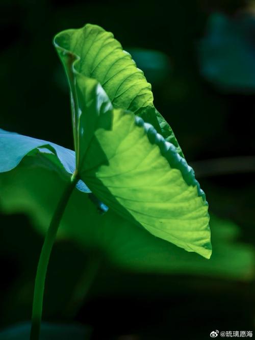 威志空调故障维修：守护夏日清凉，技术护航生活品质 家庭维修