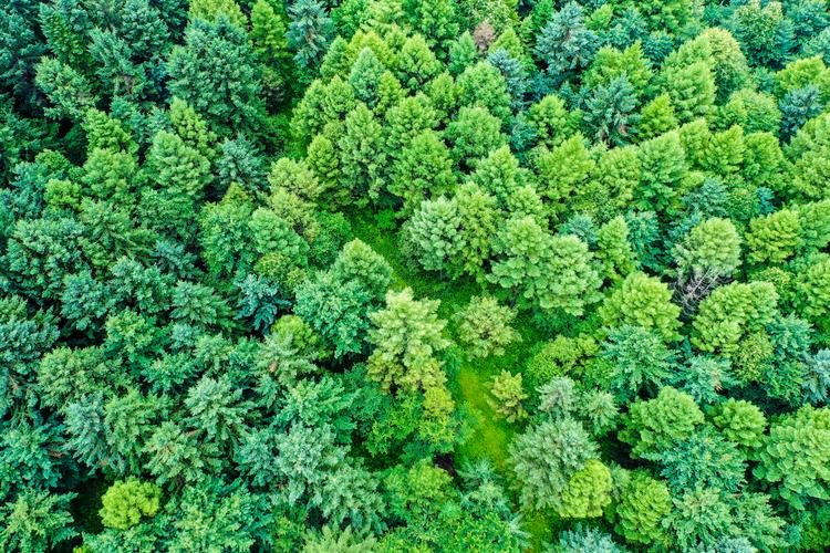 宜宾市：绿色宜居，空调维修服务助力夏日清凉 家庭维修