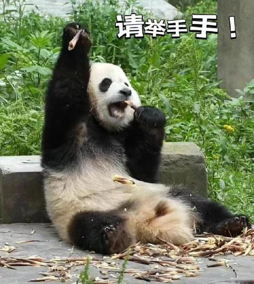 川源空调泵维修：守护夏日清凉的守护者 家庭维修