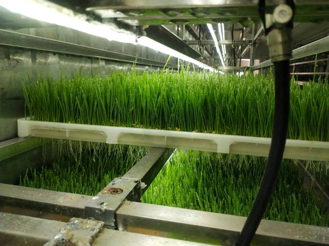 工业园空调维修：保障生产效率，守护绿色未来 家庭维修