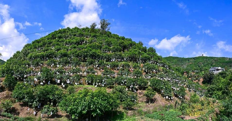 攀枝花空调维修：技术革新下的绿色守护者 家庭维修