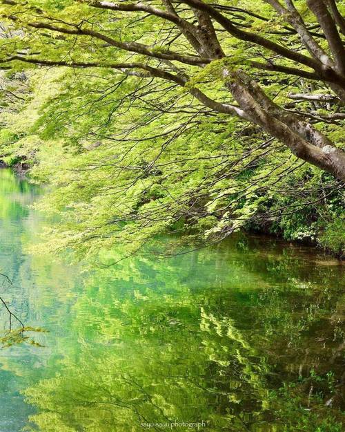新星市空调维修：绿色科技守护夏日清凉 家庭维修