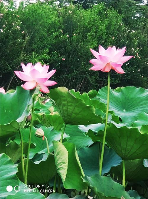 无为县空调维修：绿色服务，守护夏日清凉 家庭维修