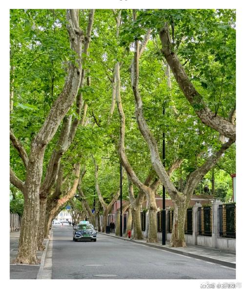 桐梓县空调维修：技术革新下的绿色服务 家庭维修