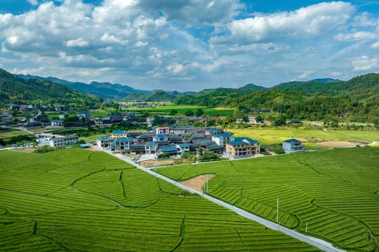 秦望村空调维修：绿色乡村的智慧守护 家庭维修