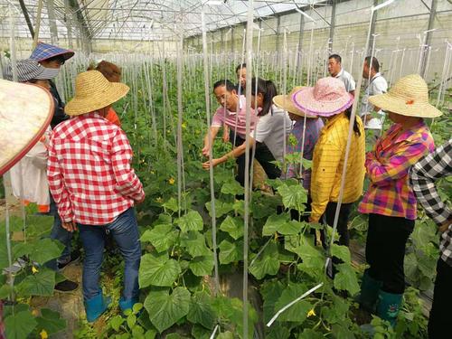 空调维修培训：技能提升，共创绿色未来 家庭维修