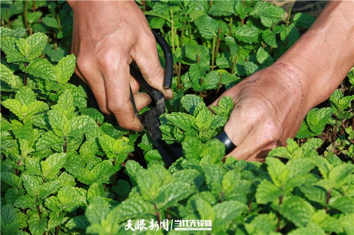 罕井镇：空调维修服务的绿色先锋 家庭维修