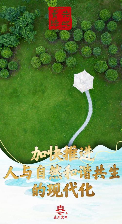 青城山空调维修：绿色养生与技术创新的和谐共鸣 家庭维修