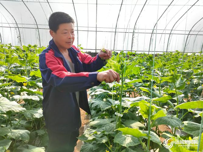 临猗空气能,绿色节能的暖通新宠_临猗空气能安装 电锯维修