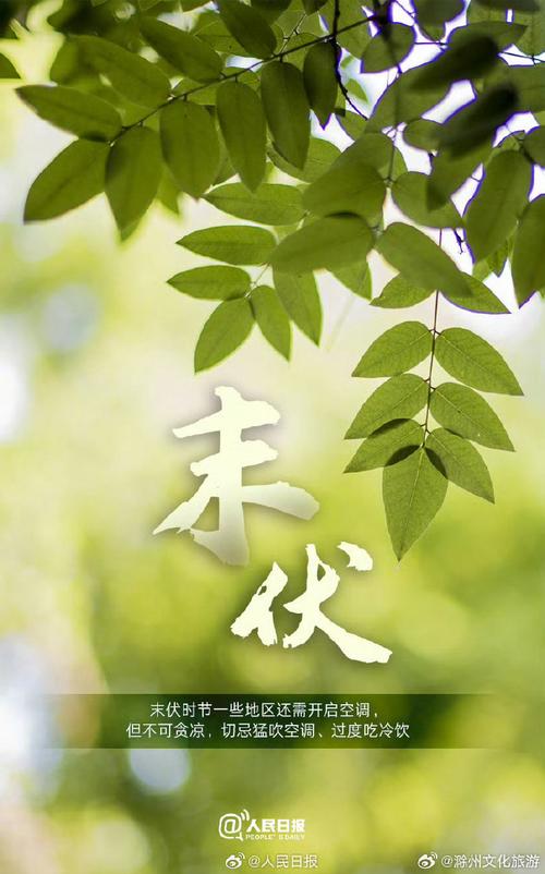 TCL空气能惠民,绿色节能，引领未来生活新风尚_tcl空气能惠民 手机维修